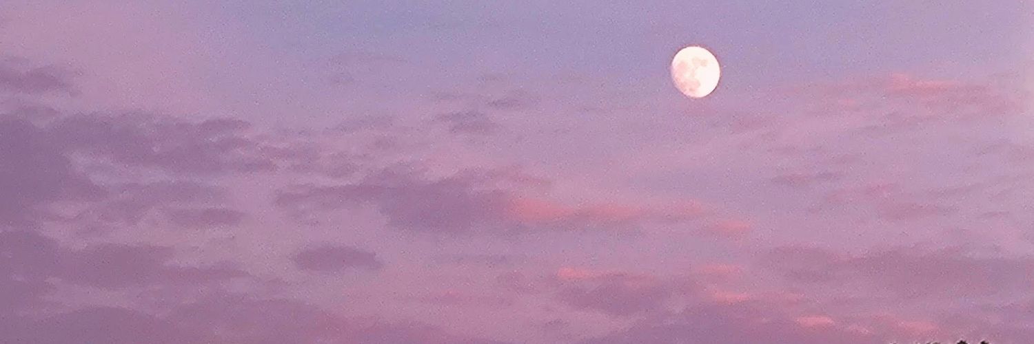 白虎と芍薬🥃 banner