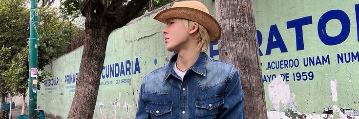 ale ✩ banner