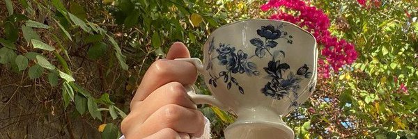 hle088 Profile Banner