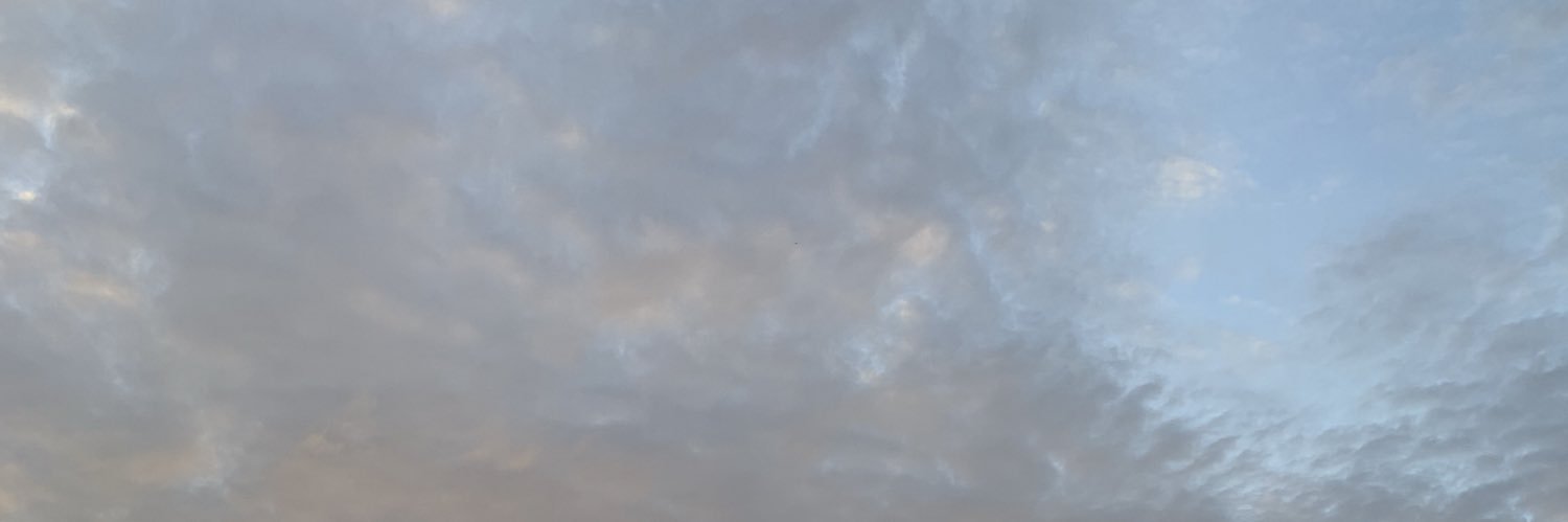 godamnshawnx's profile banner image