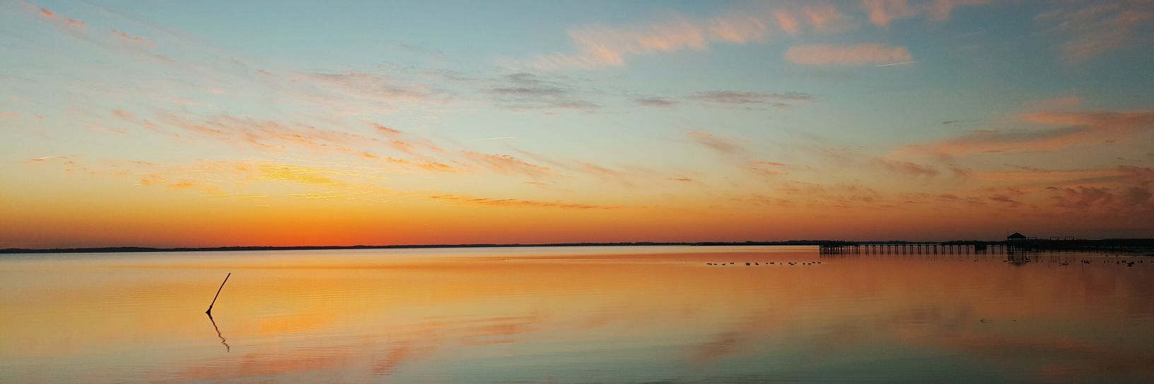 AVia1041's profile banner image