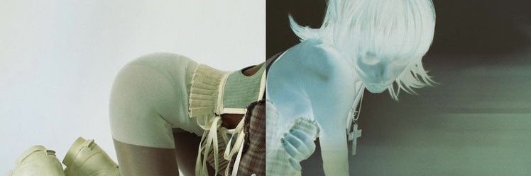 🪲 banner