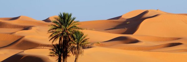 Fristad85 Profile Banner