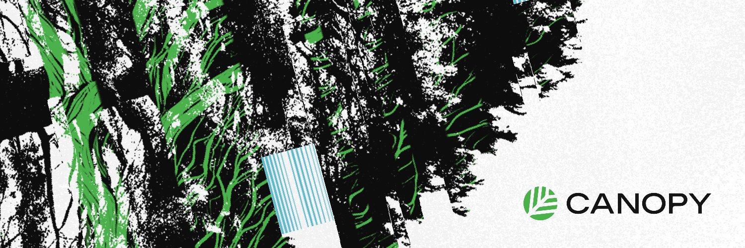 Canopy Intern banner