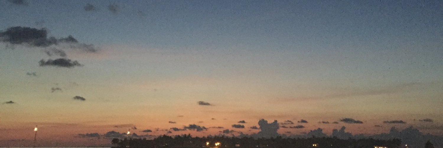 THEAMAZINMIA's profile banner image