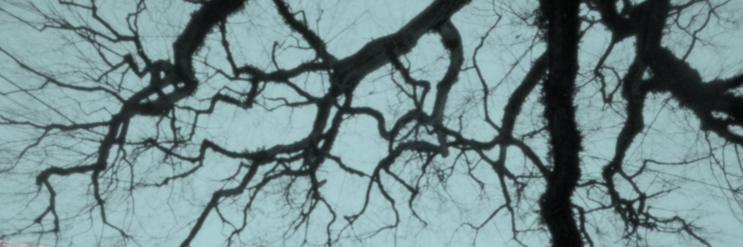 kudaphoto's profile banner image