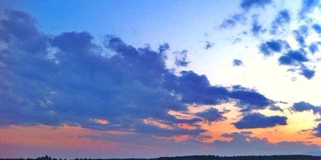 Anna Plans i Canal banner