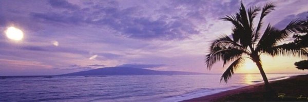 sofa4234 Profile Banner