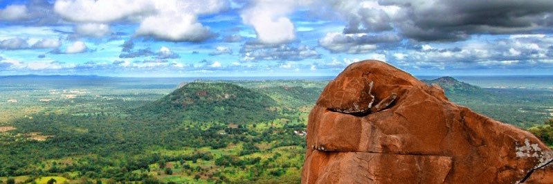 Mel Abusch, M.D. banner