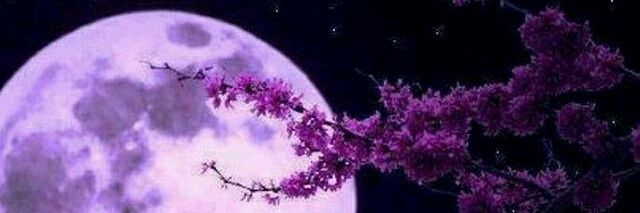 Totty_76's profile banner image