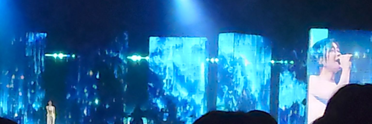 mickey banner