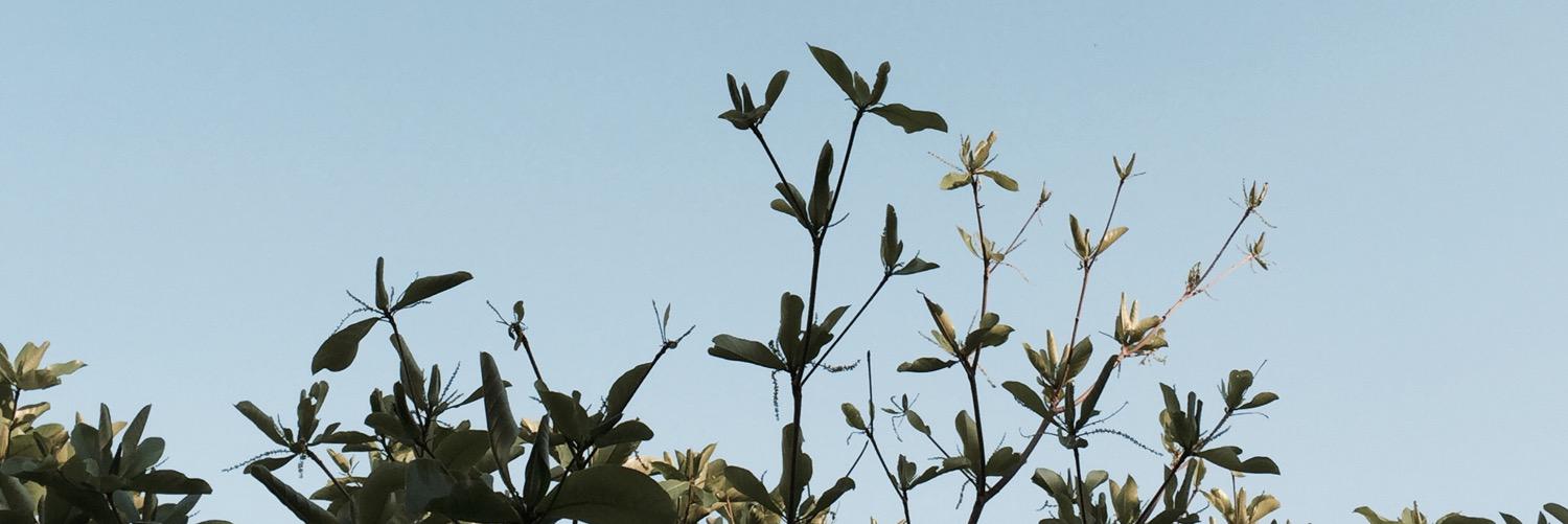 thismaybe's profile banner image