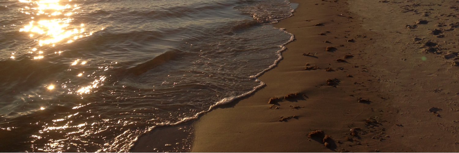 X_12ay's profile banner image