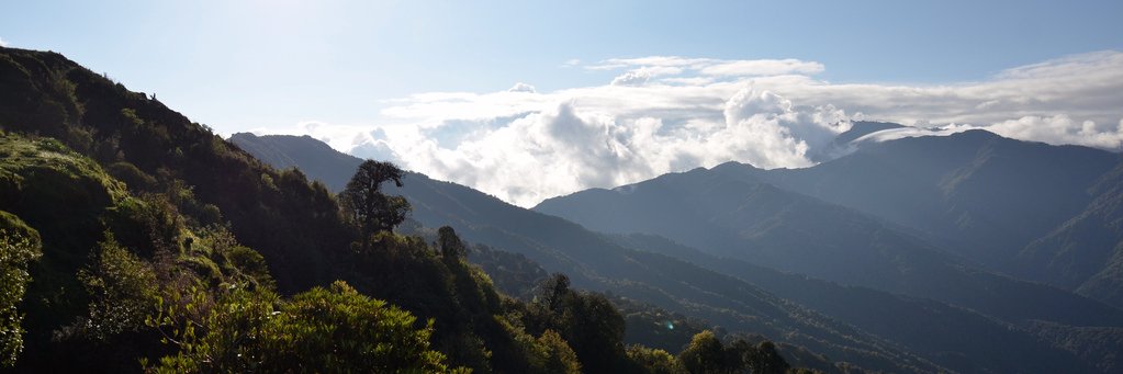 Jessica Cheam banner