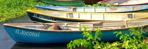afroguanaco's profile banner image