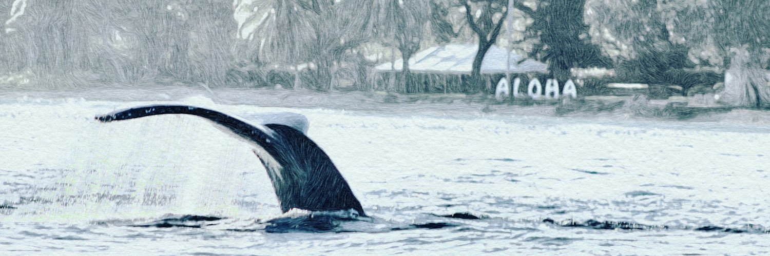 ERIK GIVENTER🏴‍☠️🇺🇦 banner