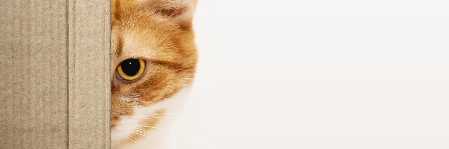TeehTng's profile banner image