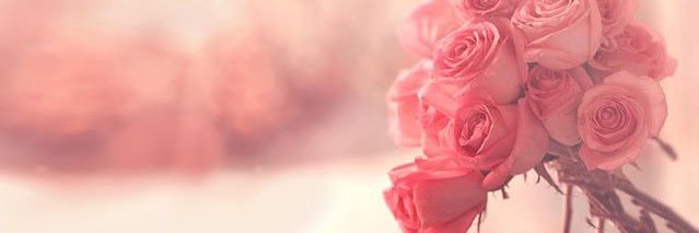 Laura Kent banner