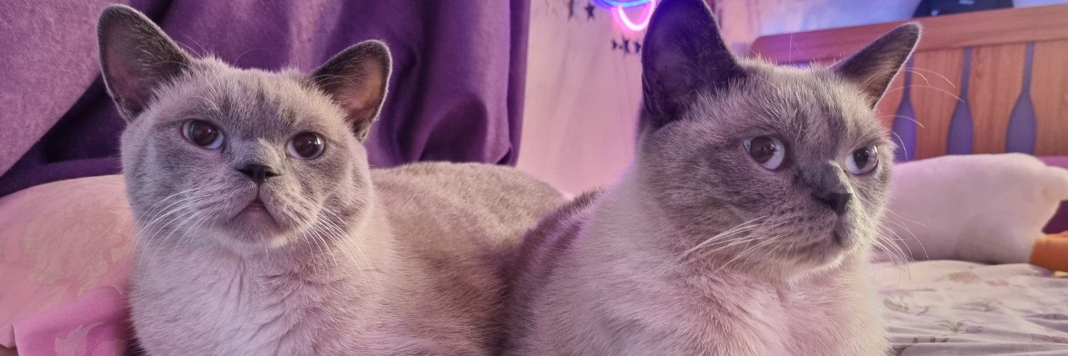 dana__104's profile banner image
