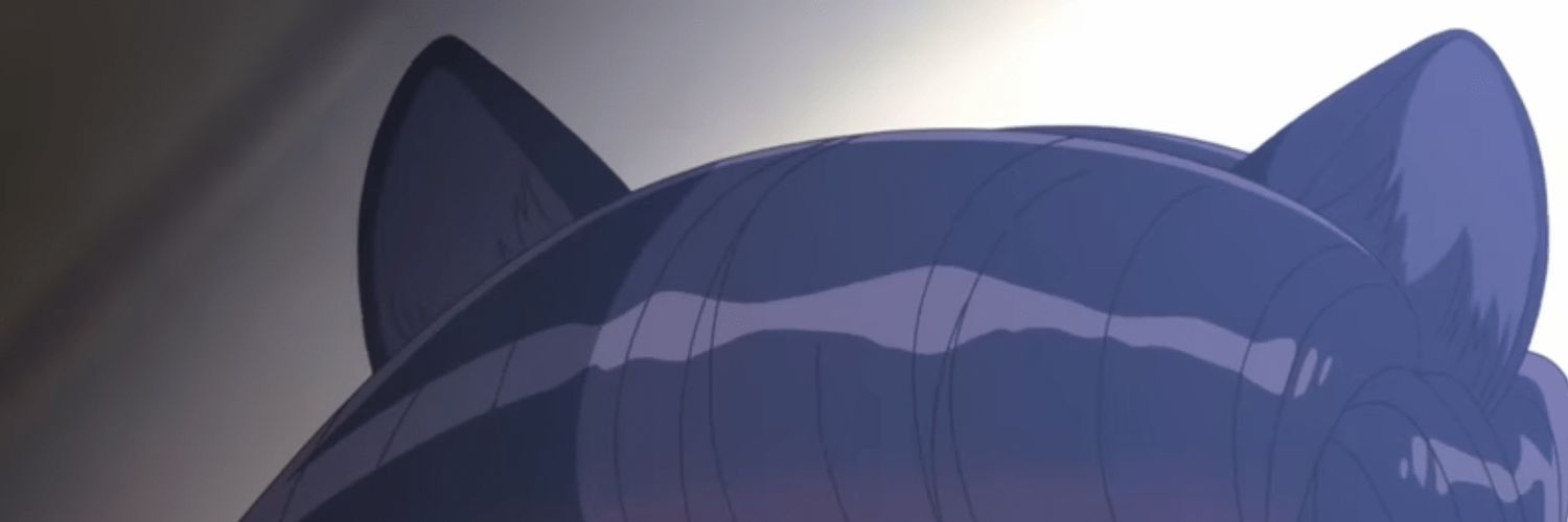 anisfidd's profile banner image