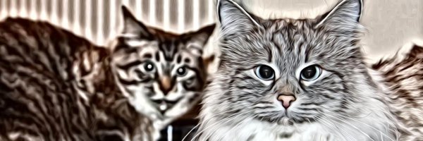 jsterner73 Profile Banner