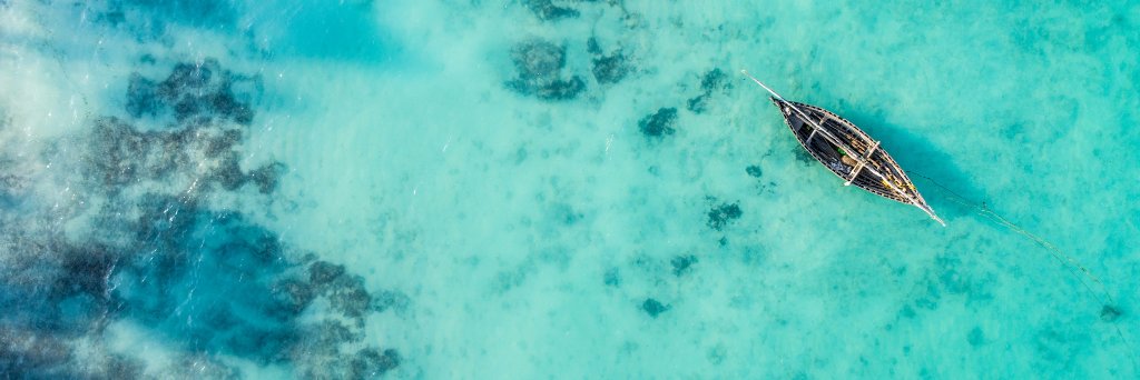 socialPolly's profile banner image