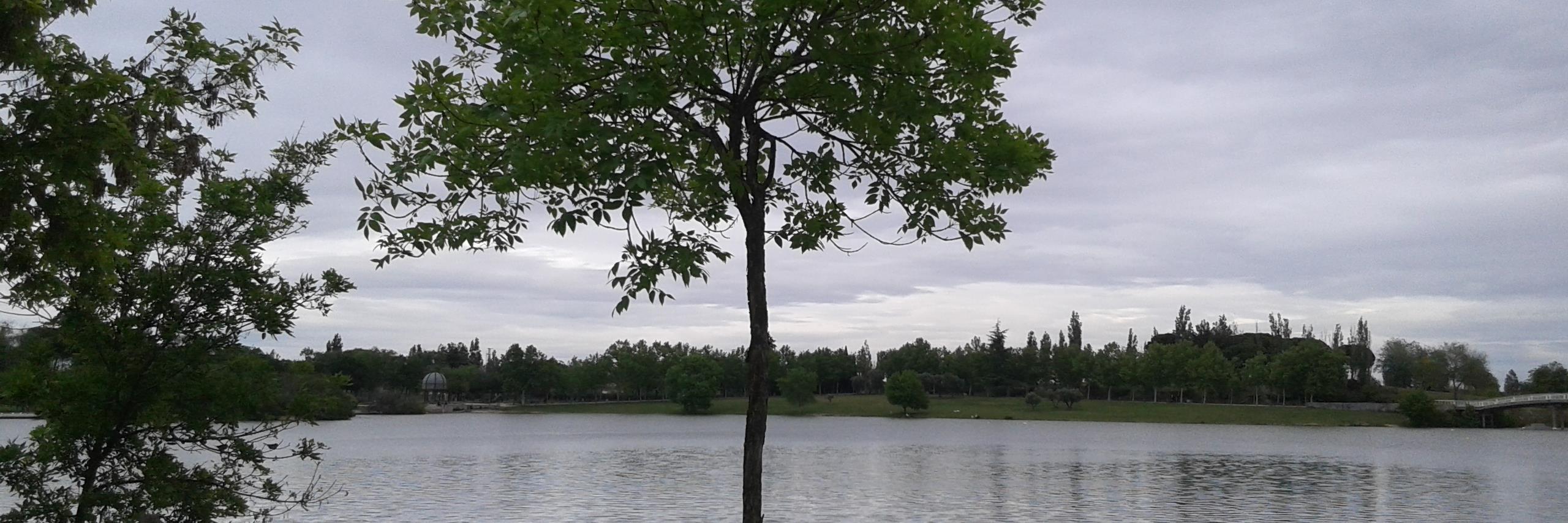susanacr76's profile banner image