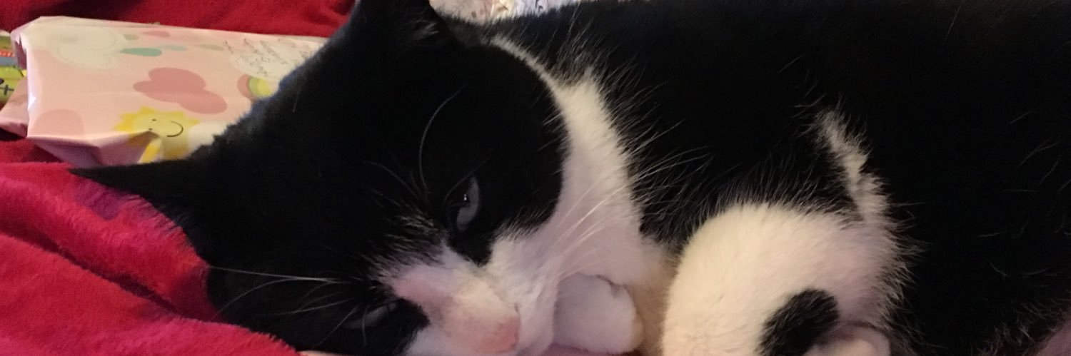 MiniTwirl's profile banner image