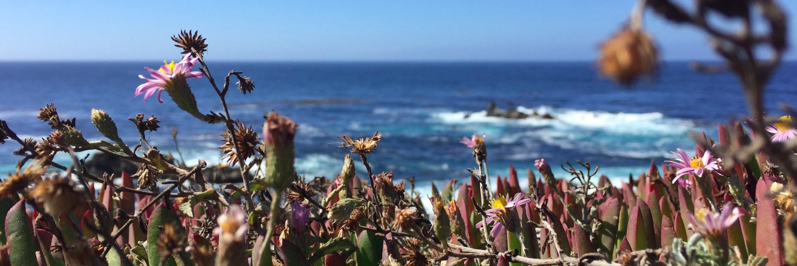 Mark Malmström Fast banner