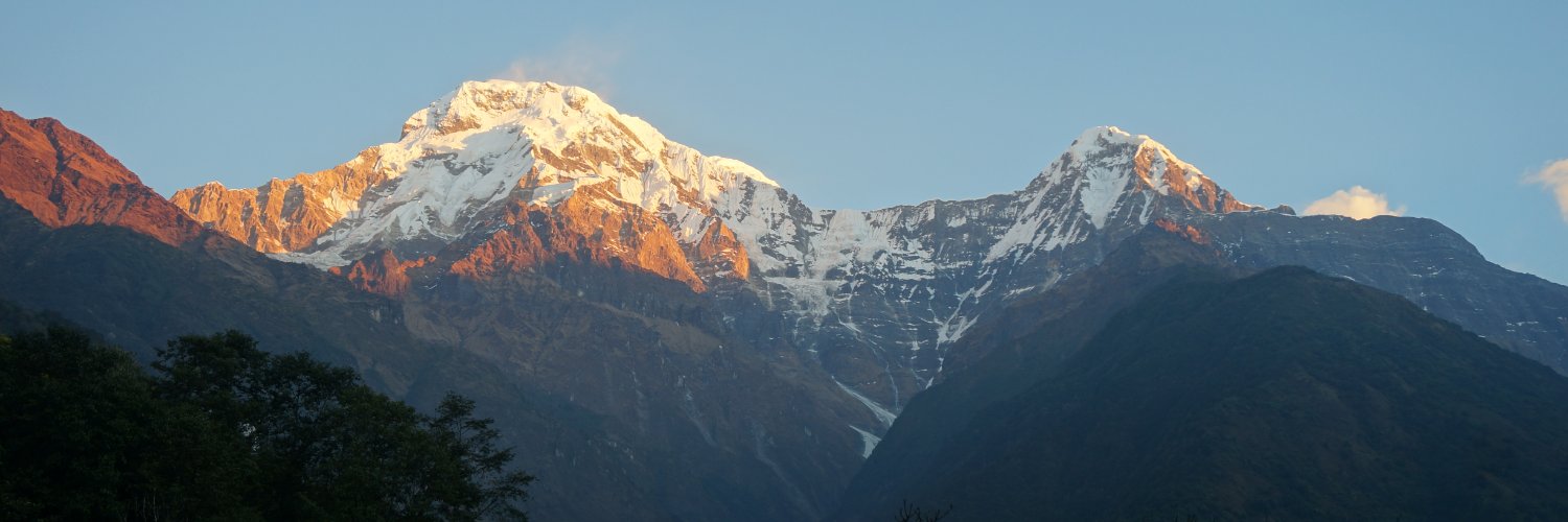 Helen Harris-Fry banner