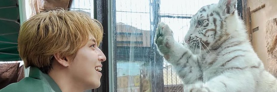 ys_sncn's profile banner image