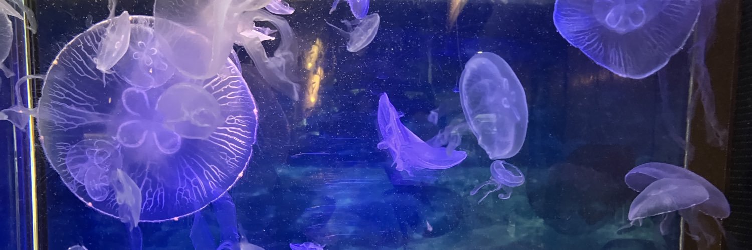 もも banner