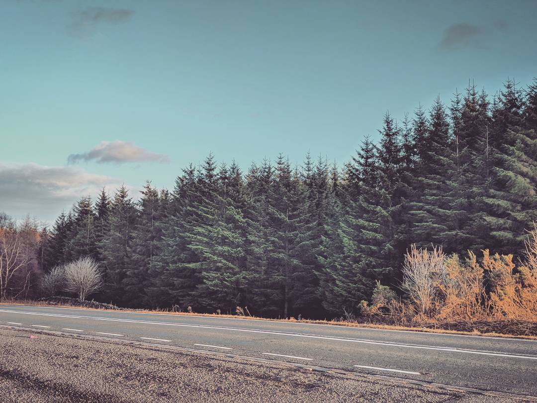 RyaanKerrr's profile banner image