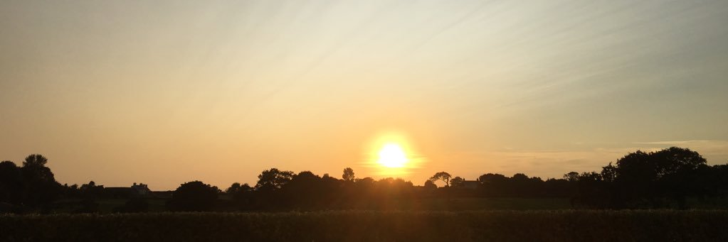 RocketRobert's profile banner image