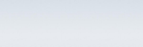 wladimirkaminer Profile Banner