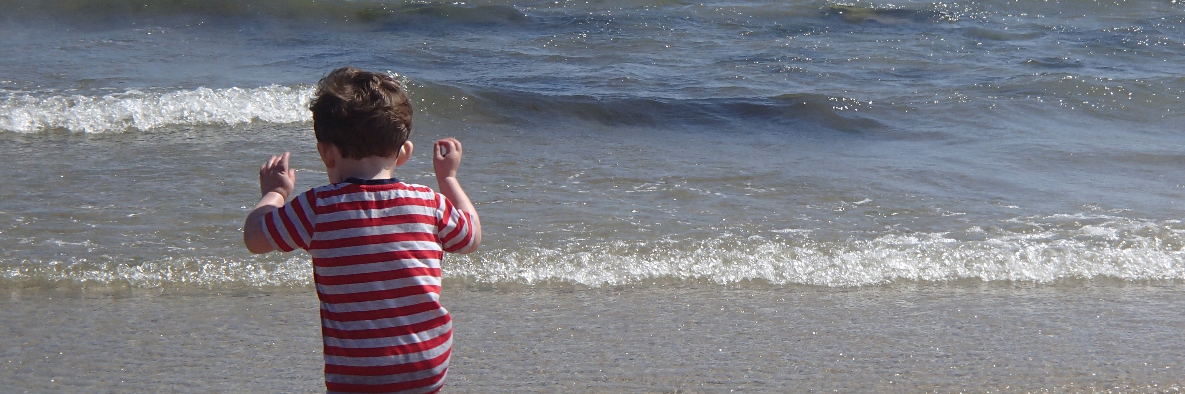 Sasha Mildenhall banner