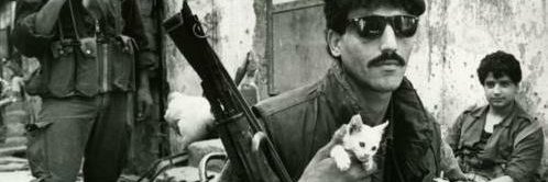 Francisco Mazzola banner