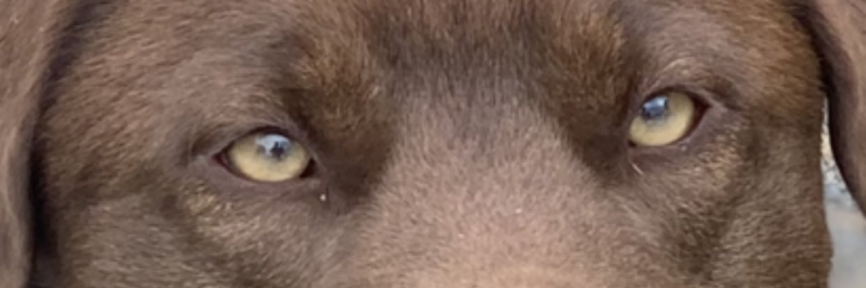 dylan_ferrians's profile banner image