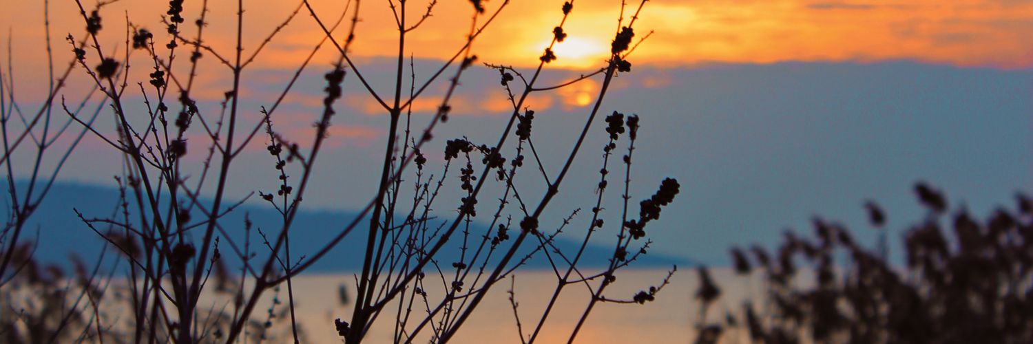 kubisssko's profile banner image