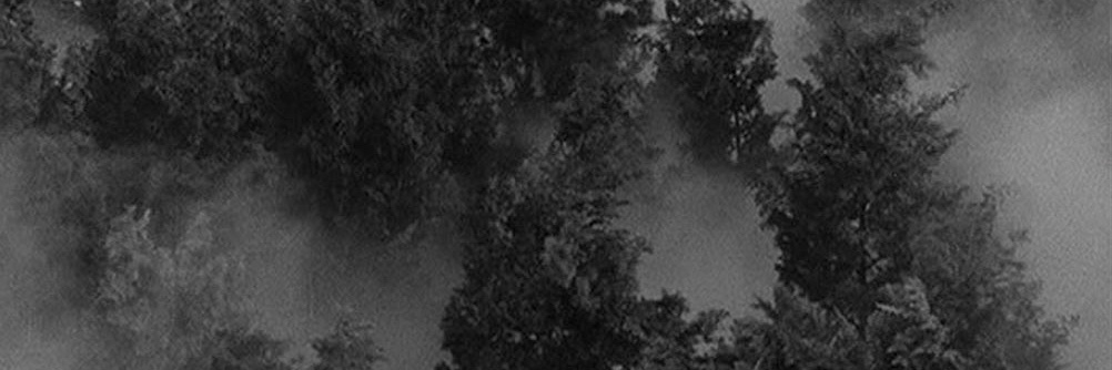 tacceber's profile banner image