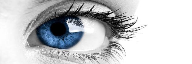 Really_Addicted's profile banner image