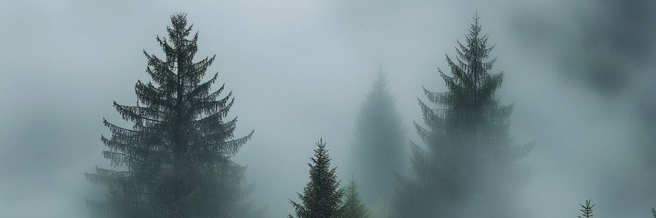 Jz_1998's profile banner image