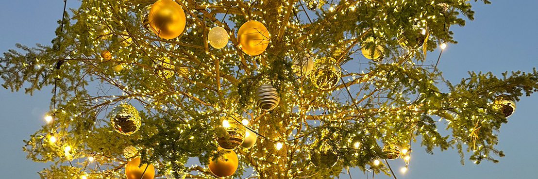 o00ooon's profile banner image