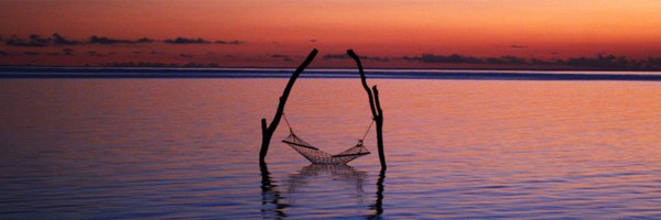 TimUnwin Profile Banner