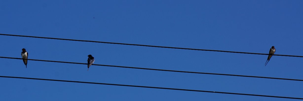 PeterDonovan's profile banner image
