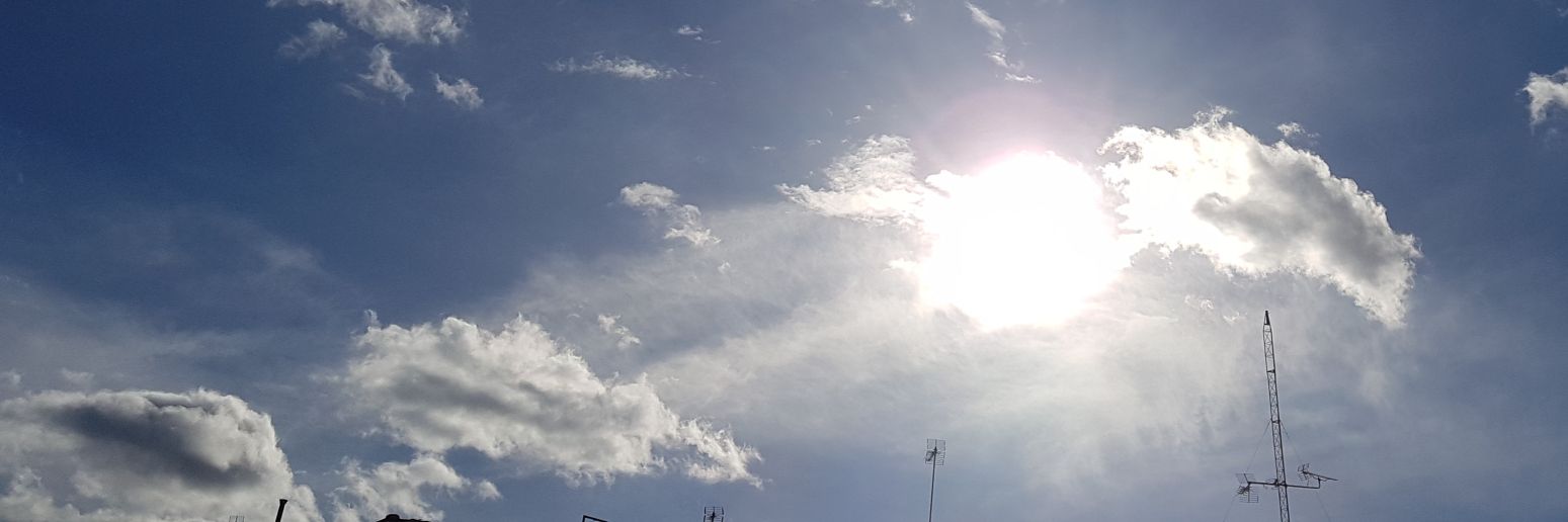 SÍLVIA FUSTER banner