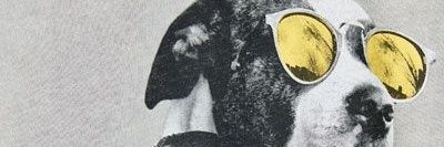 rapaxzero's profile banner image