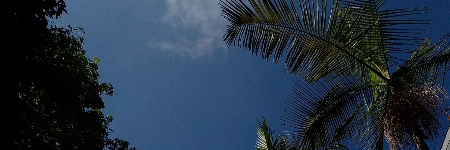 delosraids's profile banner image
