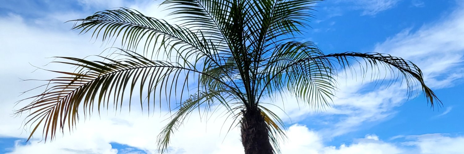 sbn_day0's profile banner image