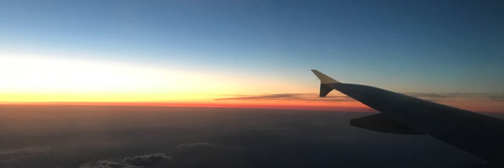 Arianna Bassoli banner